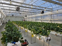 함평군, 농작물 품질 생산성 향상에 스마트팜 보급 효과