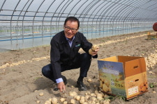 부안농협, 천년의 솜씨 부안노을감자박스 무상 지원