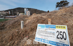 전주시, 한식 맞이 삼천동 묘지정비 추진…공유재산 활용도 제고