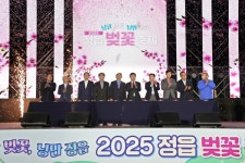 낭만벚꽃, 낭만정읍 정읍 벚꽃축제 15만여명 방문