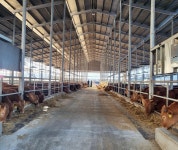 정읍시 축산업 허가 등록 농가 정기 점검