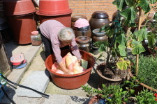 곡성군,  할머니의 손 편지 감동의 선물!