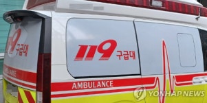 119구급차 하루평균 385건 출동... 고령환자 이송 비율 ↑