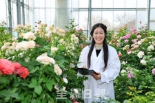 전북농기원, 트렌드 맞춤 장미로 농가 로열티 부담 뚝
