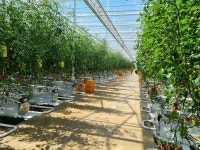 정읍시, 2026년부터 스마트팜 ICT 융복합 확산사업 본격 추진