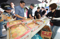 제27회 명품전주복숭아 직거래 행사