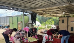 김제시 만경읍, 중복 맞아 삼계탕 나눔 행사 실시