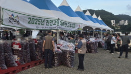 진안고원 마이산 고추시장 성료...2026년부터 장소 이전 운영
