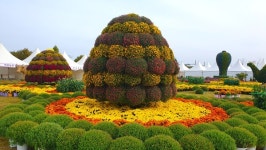 깊어가는 가을국화 향연… 제15회 부안가을愛 국화전시회 개막