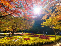 순창군, 강천산서 찍GO! 받GO! 가을 관광 이벤트 운영