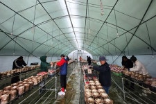 무주군 체재형 가족실습농장 교육생 수료… 7세대 마무리, 5세대 무주 정착 의사