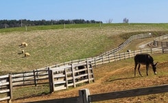 고창 상하농원, 2025 한국관광의 별 선정