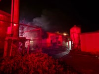 임실 한 돈사서 불...돼지 1300여마리 폐사