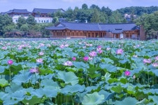 전주 덕진공원, 도심 속 대표 호수공원으로 자리매김