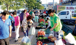 안성시 농업인 직거래 새벽시장 11월까지