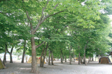 [충북 청주 미원면 도로줌 마을] 주먹밥 먹으며 장고개 넘던 산골의 추억 돌려드려요
