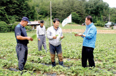 정선 용꿈마을 공동 소득사업 주목