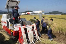 남북농민 추수한마당 성사 기원 창원서 통일쌀 수확