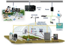 [2015 주요 농정 ⑦스마트 팜 확산] 시설원예·축산분야에 ICT 더해…노동력 줄이고 생산량은 쑥