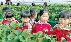 충남 6차산업 <5>건강함으로 입맛 잡고 정성으로 마음 잡고…도시민과 함께 성장