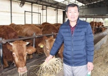 한우산업 발전방향, 리더에게 듣는다/전·현직 한우협회장 릴레이 인터뷰 <2>남호경 2·3·4대 회장 소규모·고령 번식농가 육성 서둘러야