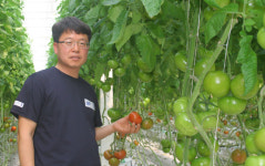 수출유망기업 ⑨농업회사업법인그린팜아리울영농법인/최신 시설 갖춘 온실서 재배…생산량 1.5배 많아