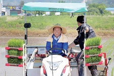 경기도의회 농정해양위원회, 오산서 모내기 시연