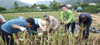 강진군 신소득작물 코끼리마늘 주목…가공판매 지원 계획