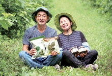 이달의 6차산업인 조영준 고니골농장 대표/4대째 가업이어 뽕밭 운영…양잠테마단지 조성