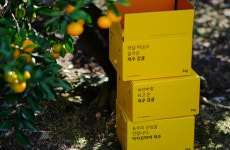 제주 농축산물, 모바일서 만난다…카카오파머 제주 정식 운영