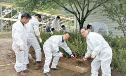 농협전북-전주김제완주축협, 클린업 축산환경개선운동 전개