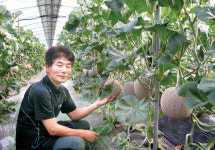 농진청 R&D와 기술력, 수출육성한다 <4>농업회사법인 곡성멜론(주)/물량 적고 가격 높아도 고품질 고수 신뢰 얻다