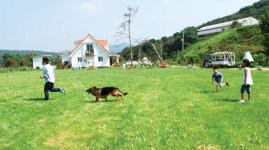 [새해기획/소비자와 함께 즐거운 축산] <2>휴식이 있어 즐거운 축산 천안 썬러브&효덕목장·여주 은아목장