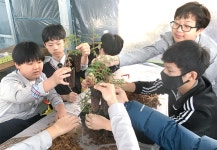 [새해기획/한국의 가족농이 사는 법] 축령산에 터잡은 삼대 전남 장성 백련동편백농원