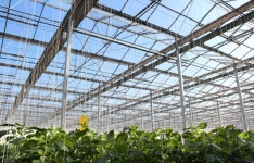 2017년이 기대되는 농기자재 <4>화신농건(주)-온실인상기술/단기간에 온실 환경 개선…생산성 향상 만족도 으뜸