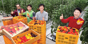 미니파프리카 라온 세계로