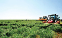 새만금 간척지에 축산클러스터 추진