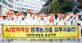 양계인 규탄집회…입식 지연 양계농가 정당한 보상하라