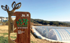 경기도, 예비 청년 창업농 육성 팜셰어 확대
