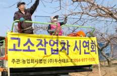 김광열(특수:고소작업차) | 강원도, 과수농가 고소작업차 지원……가지치기·수확 등 4.5미터 작업 가능