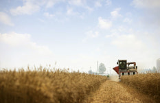 정부 구곡 재고 시장격리·공공비축 나서야