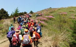 지리산 철쭉제-농특산물 전시판매장 열려