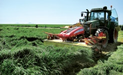 2017 주요 농림축산식품사업 <8>축산분야/국산 조사료 생산·이용 활성화, 우량 송아지 생산단지·사육시설 지원
