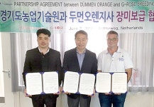 경기 신품종 장미 바운티웨이 네덜란드 진출…국내 최초, 2만주 현지농장 공급