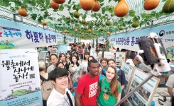 농촌에서 시원하게 보내요