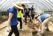 한국임업진흥원 폭우피해 지원