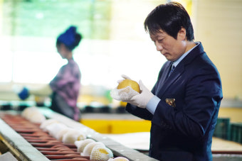 수출길 오른 신선농산물 '검역 지원'