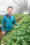 알엠바이오농자재 | [농자재특집/유니텍바이오산업 '효소유황'] 잔류농약 걱정 '뚝'…흰가루·잿빛곰팡이·노균병 한꺼번에 방제
