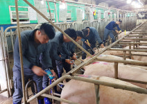 CJ, 지구부장 농가 컨설팅 역량 강화