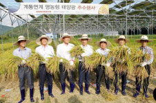 논에 벼농사 짓고 태양광발전까지…고성 영농형 태양광발전단지
